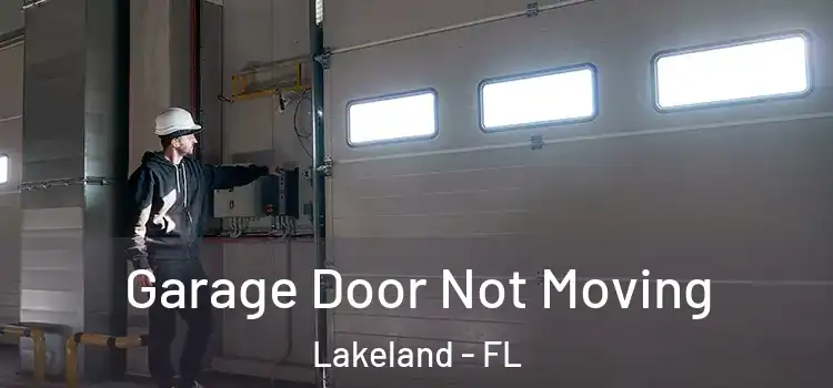  Garage Door Not Moving Lakeland - FL
