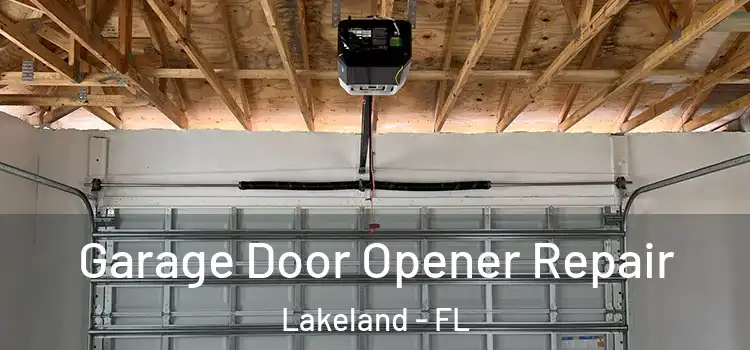  Garage Door Opener Repair Lakeland - FL