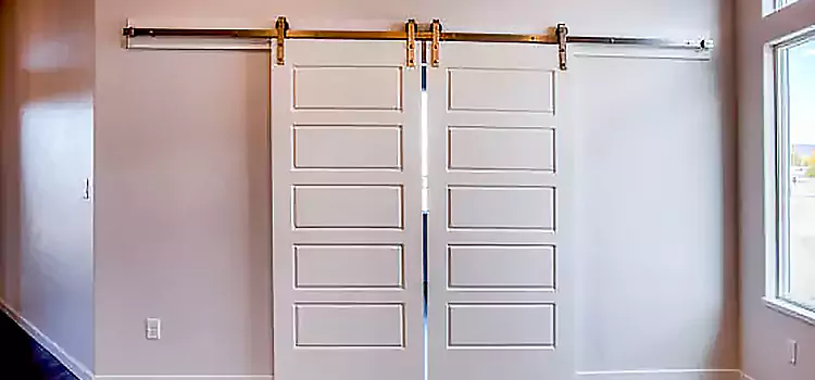 Glass Barn Door with Installation Hardware Kit Lakeland