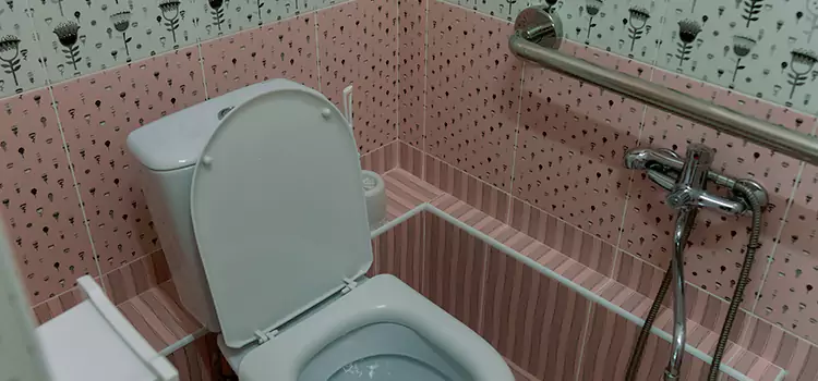 Meeting Diverse Needs With Accessible Restroom Solutions in Lakeland, FL